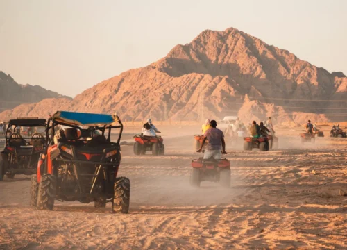 Private Family buggy safari